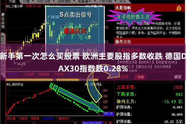 新手第一次怎么买股票 欧洲主要股指多数收跌 德国DAX30指