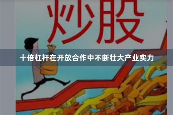 十倍杠杆在开放合作中不断壮大产业实力